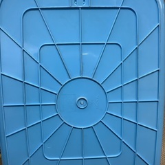 タライジャンボの画像
