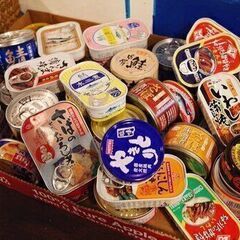 非常食「防災食」サバ味噌・肉じゃが・ハンバーグ・カレー各種の画像