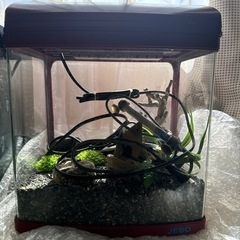 JEBO R331 水槽　アクアリウム
