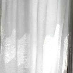 レースカーテン100×208cm　1枚の画像