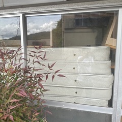 ホテルから譲り受けた中古ベッド