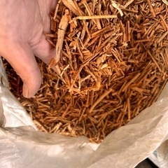 桜材カンナ屑　燻製用に