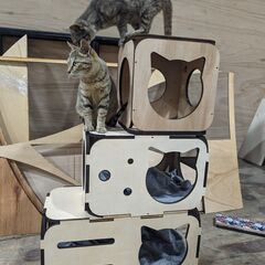 木製BOX  組み立て式 3点セット ラワン　工作　DIYの画像