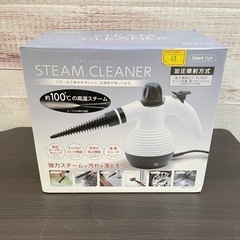 スチームクリーナー