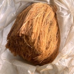 檜綿の画像