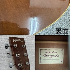 【決まりました】Sepia Crue 　セピアクルー　アコースティックギターの画像