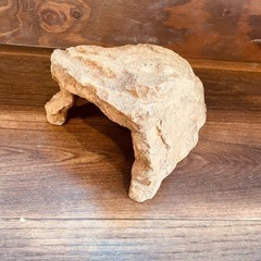 爬虫類 シェルターの画像