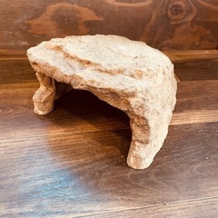 爬虫類 シェルターの画像