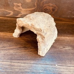 爬虫類 シェルターの画像
