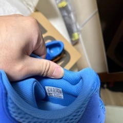 yeezy boost 700 GZ0541 29cmの画像