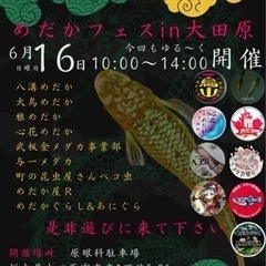6月16日大田原にてメダカイベントやります！