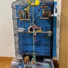 TRADE WING 鳥かご バードケージ 大きいケージ 鳥小屋 大型