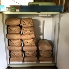 【週末限定 】令和5年　コシヒカリ　玄米　30kg　残り2の画像
