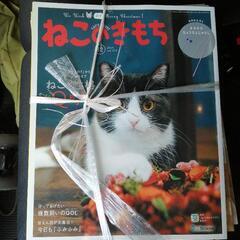 ねこのきもち2019 12冊セット