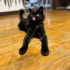 長毛の男の子