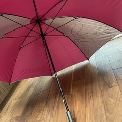 スリクソン　傘の画像