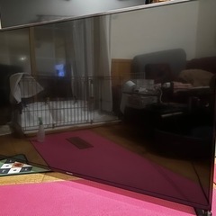 地上・ＢＳ・１１０度ＣＳデジタルハイビジョン液晶テレビ TH-60CX800N