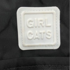 【新品】 【親子セット】　親子リュック ミニ バッグ 親子 リンク おそろい ペア リンクコーデ セット　男の子 女の子 入園 入学 プレゼントの画像