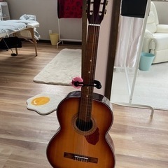 【ギター、スタンド、ピックセット！お得！！】