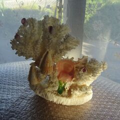 【決まりました】貴重希少骨董品☆天然 珊瑚 サンゴ さんご 置物...
