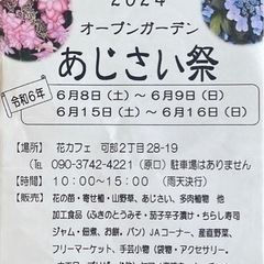 あじさい祭り　紫陽花　めだか　メダカ　メダカすくい　メダカ販売