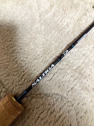 その他 DAIWA SALTIGA 55B-2TG
