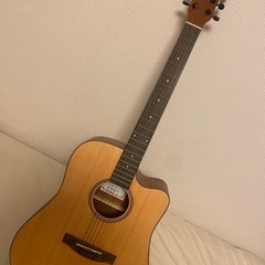 楽器 弦楽器、ギター