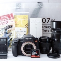 ☆SONY α350☆スマホ転送○初心者向け○超望遠レンズ付き 1ヶ月