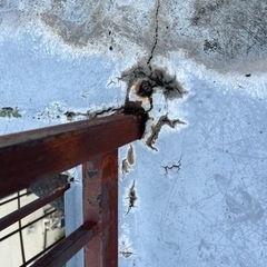 防水工事　DIY  山梨県　アルバイト　単発　お手伝い