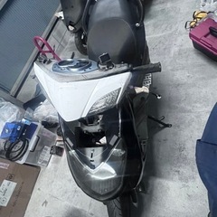 シグナス2型