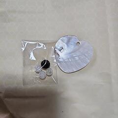 スト－ン、貝の皿の画像