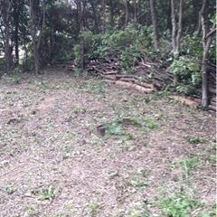キャンプ　薪ストーブ　薪　結構たくさん取れると思います。の画像