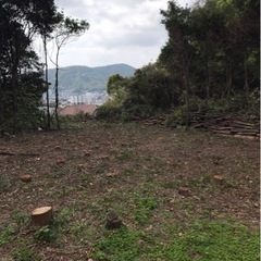 キャンプ　薪ストーブ　薪　結構たくさん取れると思います。の画像