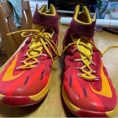 NIKE バスケットシューズの画像
