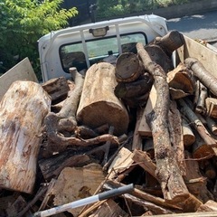 草刈りや庭木の伐採🌲 - 糸島市