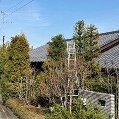 個人宅庭木管理承ります!