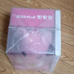 ポストペットモモ便待望のアニメ化！DVD完全オリジナルぬいぐるみ付き（5000個限定生産）の画像