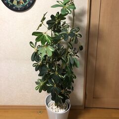 人工観葉植物 フェイクグリーン インテリア