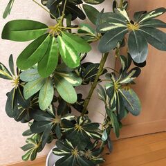 人工観葉植物 フェイクグリーン インテリアの画像