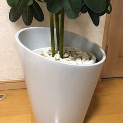 人工観葉植物 フェイクグリーン インテリアの画像