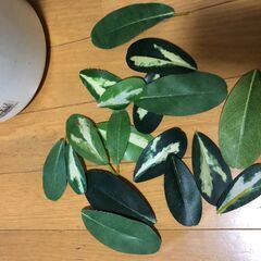 人工観葉植物 フェイクグリーン インテリアの画像