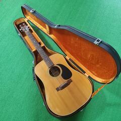 Humming Bird CUSTOM ハミングバード アコース...
