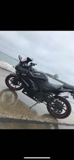 バイク ninja250r