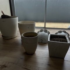 プランター類
