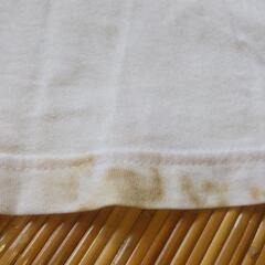 OLIVE des OLIVE　トップス２枚　中古品の画像