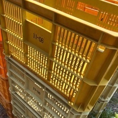 農業用プラスチックコンテナ