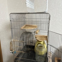デグー飼育セット ケージから餌入れまで