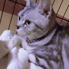 【募集停止】小柄な女の子タラちゃん