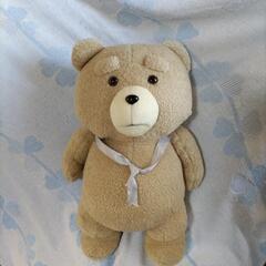 ぬいぐるみ　TED