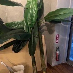 造花　フェイクグリーン　木　観葉植物